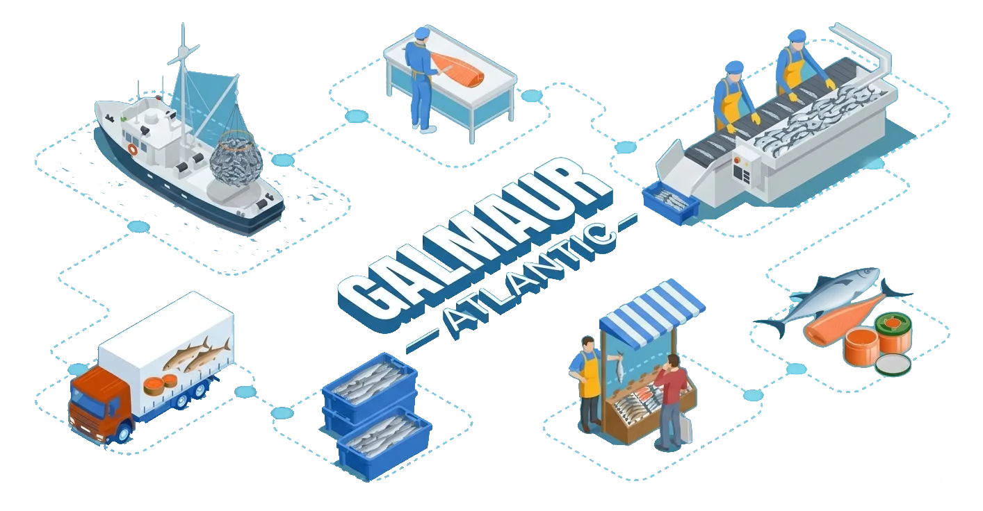 servicios-galmaur-atlantic